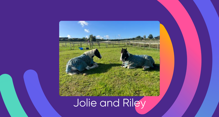 Jolie and Riley for website