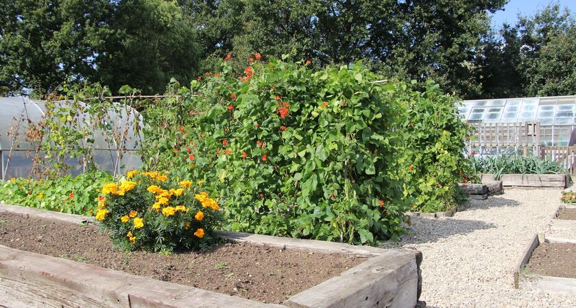 Growing Concern service raised beds